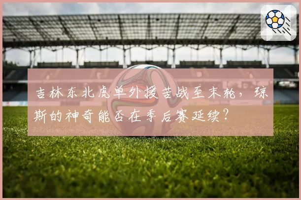 吉林东北虎单外援苦战至末轮,琼斯的神奇能否在季后赛延续?
