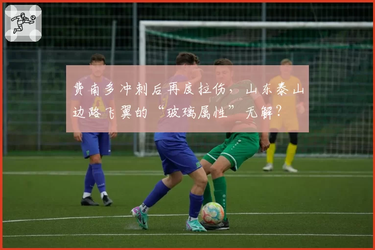 费南多冲刺后再度拉伤,山东泰山边路飞翼的“玻璃属性”无解?